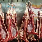 قیمت گوشت قرمز چقدر شد؟ + لیست قیمت گوشت گاو و گوسفند برای امروز یکشنبه ۱۹ مرداد ۱۴۰۴