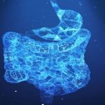 کشف حس ششم انسان در محل روده!