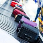 کشف صدها گونه جانوری قاچاق در فرودگاه امام / عکس