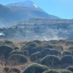 اتش سوزی ۶۵ هکتار از مراتع پارک ملی لار