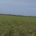 لحظه فوت هولناک چترباز مشهور بعد از پرش + فیلم