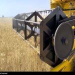 تامین گندم مصرفی کشور تا آخر سال تامین گندم مصرفی کشور تا آخر سال