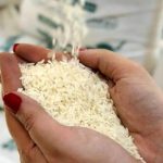 سقوط قیمت برنج آغاز شد سقوط قیمت برنج آغاز شد