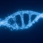 ژن خواب زمستانی، در انسان هم وجود دارد!