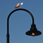 30 عکس الهام بخش که ثابت می‌کنند زیبایی در جزئیات روزمره نهفته است