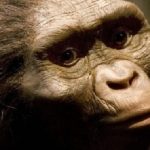 کشف شوکهکننده در اتیوپی: یک گونه ناشناخته همزمان با اجداد ما زندگی میکرده است کشف شوکهکننده در اتیوپی: یک گونه ناشناخته همزمان با اجداد ما زندگی میکرده است