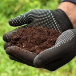 معرفی 25 نوع کود خانگی و طبیعی برای گیاهان اپارتمانی