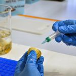 کشف جدید دانشمندان: ویروس HPV، عامل جدید یک نوع خطرناک از سرطان پوست است