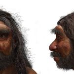 راز انقراض گونه های انسان؛ چرا ما تنها گونهای هستیم که باقی ماندیم؟ راز انقراض گونه های انسان؛ چرا ما تنها گونهای هستیم که باقی ماندیم؟