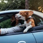 کولر یا پنجره پایین، کدام یک بنزین بیشتری می‌سوزاند؟