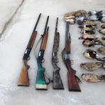 شکارچیان غیرمجاز سطح‌بندی می‌شوند