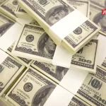 واردات کالای اساسی با ارز تک‌نرخی قیمت آن را افزایش می‌دهد