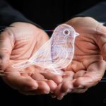 بیانیه استارتاپ‌های پیشرو در اقتصاد دیجیتال: محدودیت‌های اینترنت را تمام کنید