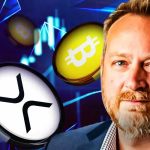 مدیرعامل کانری کپیتال: XRP شناخته‌شده‌ترین ارز وال‌استریت بعد از بیت‌ کوین است