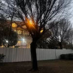 پیشرفت چشمگیر در پروژه حریم تئاتر شهر / پنلهای کارگاهی تا پایان مهرماه جمعآوری میشوند پیشرفت چشمگیر در پروژه حریم تئاتر شهر / پنلهای کارگاهی تا پایان مهرماه جمعآوری میشوند