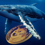 تحرکات نهنگ‌ ها در دوج‌ کوین افزایش یافت