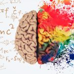 افشای افسانه چپ‌ مغز و راست‌ مغز ؛ واقعیت علمی یا باور غلط؟