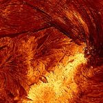 خورشید را از این نزدیکتر ندیده بودید! تصویر بیسابقه از یک زبانه خورشیدی منتشر شد خورشید را از این نزدیکتر ندیده بودید! تصویر بیسابقه از یک زبانه خورشیدی منتشر شد