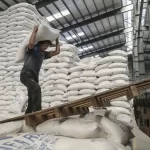 بازار برنج کی به تعادل می‌رسد؟