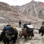 پشت پرده هم صدایی چین و افغانستان برای توسعه کریدور «واخان» / آیا پکن برای صف‌آرایی تروریست‌ها آماده می‌شود؟