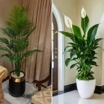 گلدان طبیعی کنار سالنی شیک؛ ۱۵ مدل جذاب و تازه برای دکوراسیون منزل