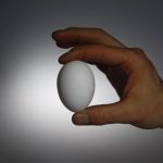 موافقت با افزایش 20 درصدی قیمت تخم مرغ – سلام نو