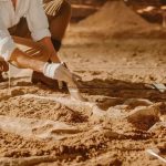 کشف فسیل ۵۲۰ میلیون ساله با مغز و روده‌هایی سالم!