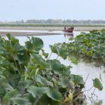 تالاب انزلی تا ۳۵ سال دیگر کاملا خشک می شود!