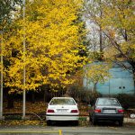 پیش بینی میزان بارش باران در پاییز ۱۴۰۴/ کم بارشی‌ همچنان ادامه دارد؟