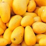 فواید شگفت انگیز انبه برای سلامت بدن