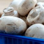 افزایش قیمت قارچ به دلیل خروج اتباع + جزییات