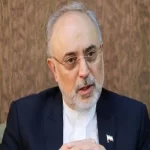 به دنبال تشکیل کرسی‌های ایرانشناسی در کشورهای خارجی هستیم