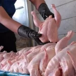 قیمت منطقی هرکیلو مرغ گرم ۱۳۰ هزارتومان