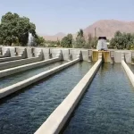 ۲۵ هزار تن انواع آبزیان در کرمانشاه تولید شد