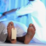 سقوط مینی‌بوس به گردنۀ چری ۱۸ کشته و مصدوم داد + فیلم