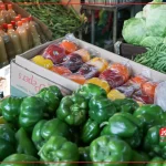 ناترازی انرژی به قیمت صیفی‌جات رسید / برق چاه‌های کشاورزی روزانه بین ۶ تا ۱۰ ساعت قطع می‌شود