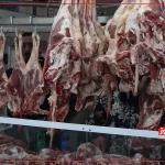 قیمت گوشت قرمز امروز ۱ مهر 1404 + جدول