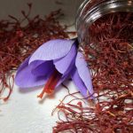 روش‌های کاربردی تشخیص زعفران اصل؛ 10 نکته مهم که باید بدانید