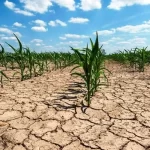 یاسوج در عطش آب؛ چشم‌انتظار تکمیل سد تنگ‌سرخ