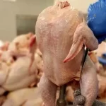 قیمت مرغ با کاهش گرمای هوا متعادل می‌شود