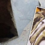 تصاویر لو رفته از درون مقبره اسرارآمیز مومیایی‌های فرازمینی در پرو که شما را شوکه می‌کند