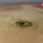 عراق در آستانه فاجعه زیست‌محیطی / بیش از یک میلیون درخت در دو سال نابود شدند