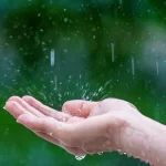 پیش بینی بارش باران در روزهای آخر تابستان پیش بینی بارش باران در روزهای آخر تابستان