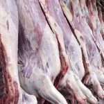 با واردات ۱۰ درصد گوشت قرمز تعادل در بازار برقرار خواهد شد