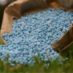 کود کشاورزی 11 درصد گران شد! – سلام نو