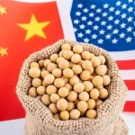 سویا به جبهه‌ای تازه در جنگ تجاری آن‌ها تبدیل شده است