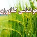 کشاورزان تنظیم و آبیاری باغات را در دستور کار قرار دهند