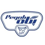 عرضه اولیه سهام شرکت کشتوصنعتودامپروری پگاه فارس به روش ترکیبی در فرابورس عرضه اولیه سهام شرکت کشتوصنعتودامپروری پگاه فارس به روش ترکیبی در فرابورس