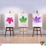 «جشنواره فیلم کوتاه تهران» میزبان گزیده‌ای از «سینمای کوتاه معاصر چین و «کمپ فیلم‌سازی روسیه» می‌شود – اخبار سینمای ایران و جهان