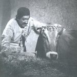 «گاو» مهرجویی به تلویزیون می‌آید – اخبار سینمای ایران و جهان